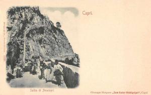 Capri Italy birds eye view donkeys people climbing incline antique pc Z17988