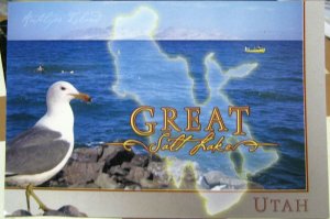 United States Utah Great Salt Lake Swimmers - posted