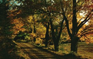 Vintage Postcard 1960 A Country Road Below Honor Heights Park Muskogee Oklahoma