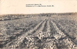 Easton Maine Potato Farm Birds Eye View Real Photo Postcard AA25403