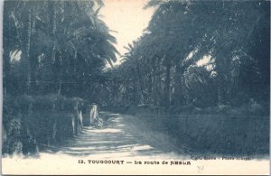 Algeria Touggourt La Route de Nesla Vintage Postcard 09.51