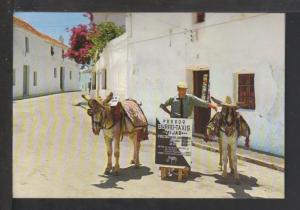 Burro Taxis Postcard 