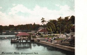 Vintage Postcard Lake Side Quinsigamond Park Worcester Massachusetts Nature MA