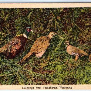 1947 Tomahawk WI Greetings from Pheasant Baby Bird Custom Text Linen PC Wis A272