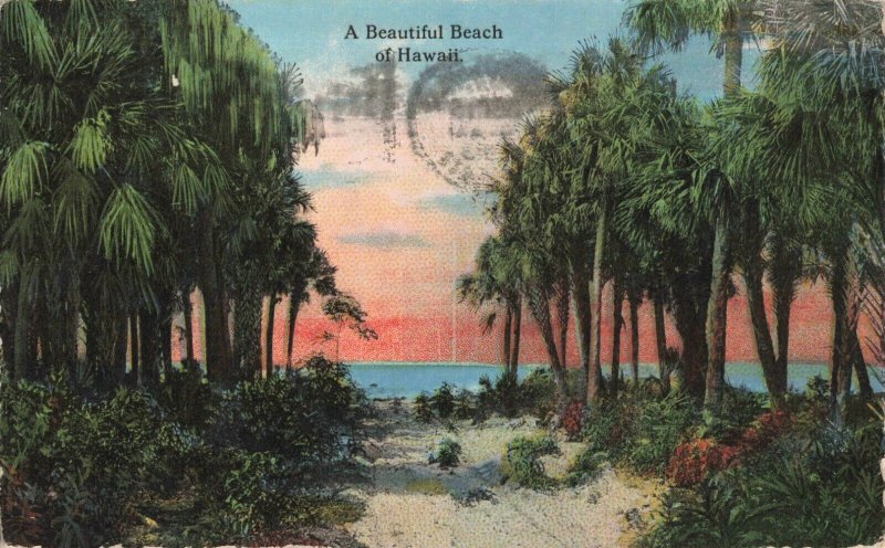 Postcard A Beautiful Beach of Hawaii