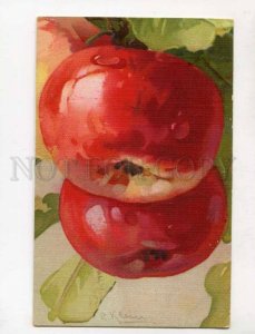 402608 Sweet APPLES on Tree by C. KLEIN vintage GOM #2172 PC