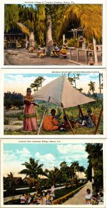 Lot of 3 Seminole Native American Florida Postcards Camp Tent Tropical Gardens