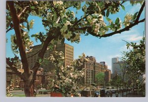 Springtime, University Avenue, Toronto, Ontario, Chrome Postcard
