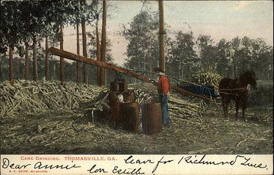 Thomasville GA Cane Grinding c1900 Old Postcard