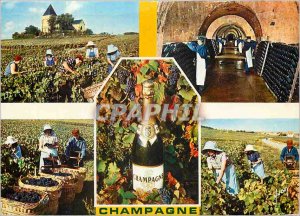 Postcard Modern Champagne