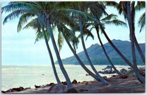 Postcard - Diamond Head as Seen from Black Point, Hawaii, USA