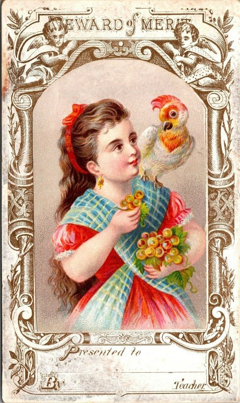 Victorian Reward Of Merit Card - GIRL - BIRD EXOTIC  