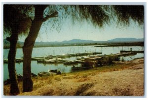 Topock Arizona AZ Postcard Catfish Paradise Colorado River c1960 Vintage Antique