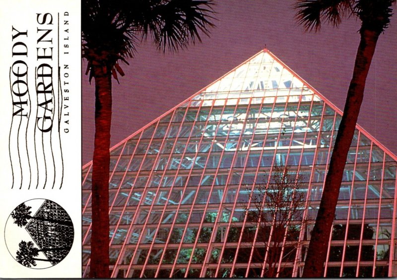 Texas Galveston Island Moody Gardens Glass Rainforest Pyramid