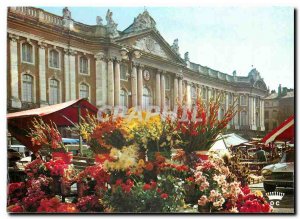 Modern Postcard Toulouse The Pink City The Marche aux Fleurs on the Capitol S...
