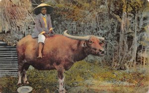 CARABOA BEAST OF BURDEN MANILA PHILIPPINE ISLANDS POSTCARD (c. 1910)