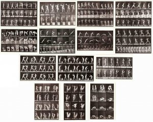 Eadweard Muybridge Humans and Animals in Motion Lot of 30 Photography Postcards