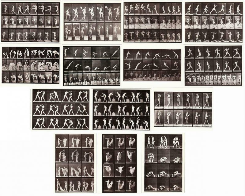 Eadweard Muybridge Humans and Animals in Motion Lot of 30 Photography Postcards