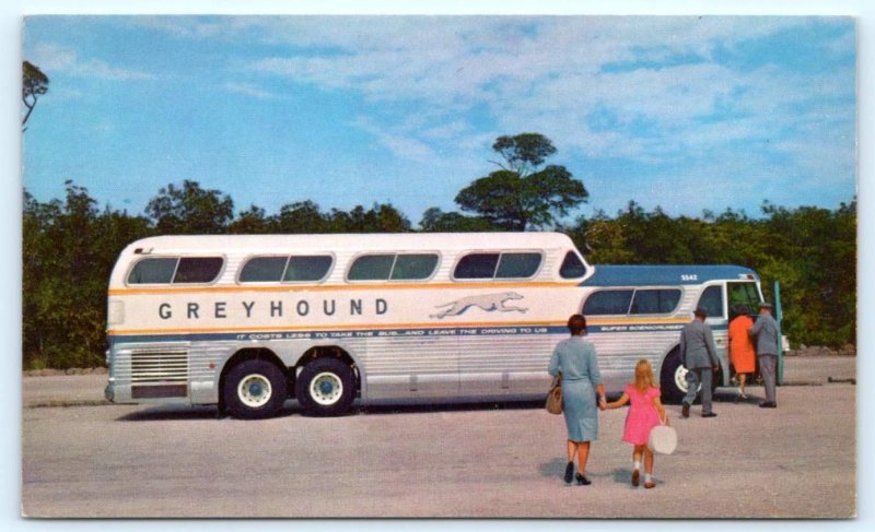 GREYHOUND BUS Super SCENICRUISER ~  c1950s Advertising Postcard