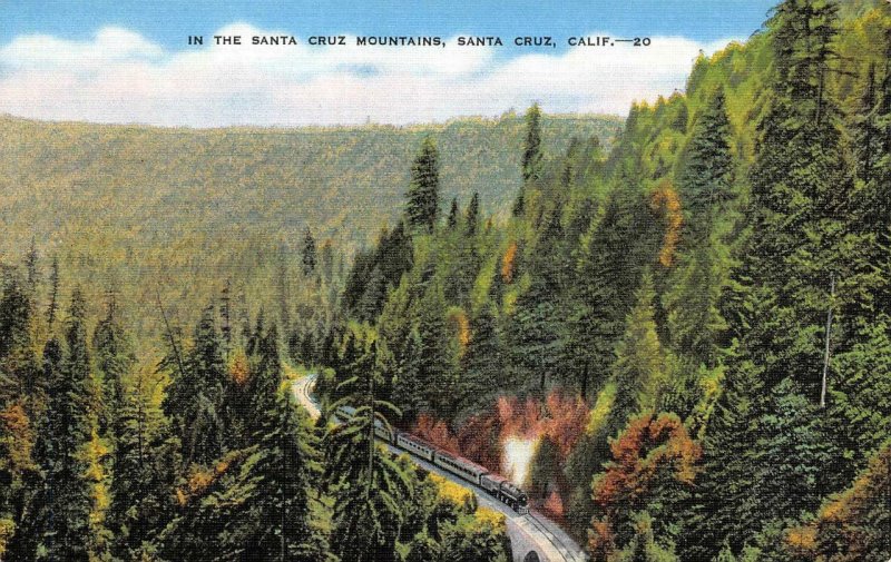 SANTA CRUZ MOUNTAINS Look-Out Point San Lorenzo Drive Big Trees Vintage Postcard