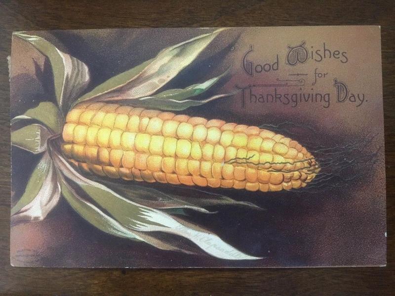 1908 Clapsaddle Corn Thanksgiving Day D12