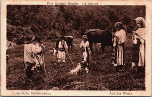 Romania Romanische Volkstrachten Vintage Postcard C098