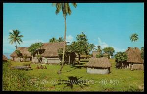 Fijian Village