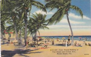 Florida Miami Beach Year Round Bathing At 71st Street and Collins Avenue 1951...