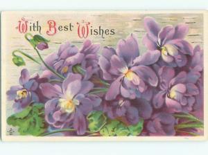 Divided-Back BEAUTIFUL FLOWERS SCENE Great Postcard AA3011