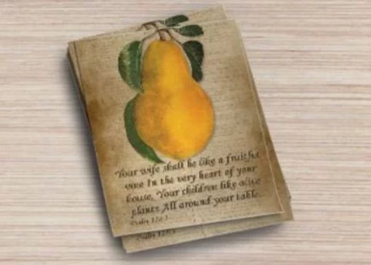 Fine Art Postcard Set of6 Psalm 128:3 Your wife shall be like a fruitful vine...