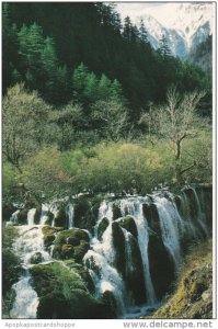 Glimpse At Jiuzhaigou Sichuan China