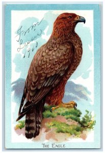 1910 The Golden Eagle Large And Powerful Bird Tuck's Posted Antique Postcard