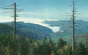 11002 Clouds in Valley from Clingman's Dome Great Smoky Mtns, North Carolina