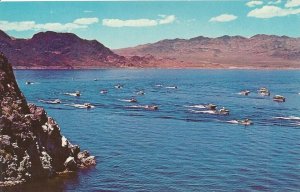 Postcard Boat Races On Lake Mead Nevada Vintage 