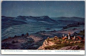 Palestine Israel c1910 Postcard The Shepherd's Field Near Bethlehem