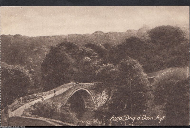 Scotland Postcard - Auld Brig o'Doon, Ayr    A6803