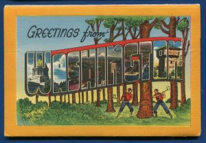 Washington State wa Mt Baker Tacoma Seattle Dry Falls Park postcard folder