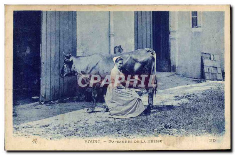 Old Postcard Folklore Bresse Bourg Bresse Farmers Cow