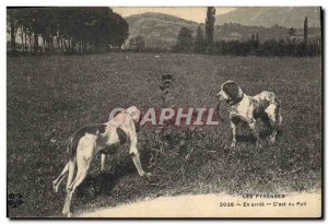 Postcard Old Dogs Dog Pyrenees In stop C & # 39est hair