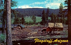 Arizona Flagstaff Lumber Mill In The Coconino National Forest