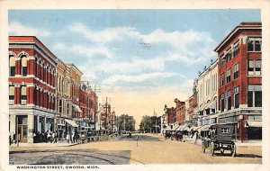 Washington Street View - Owosso, Michigan MI