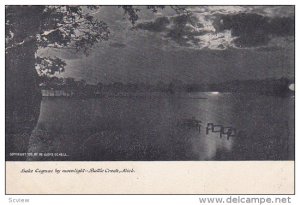 Lake Coguac by Moonlight, Battle Creek, Michigan, PU-1907