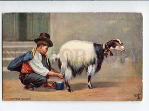 3060897 MALTA Maltese Milkman & GOAT Vintage TUCK PC