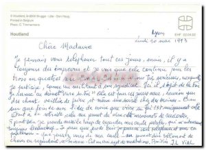 Modern Postcard Cats