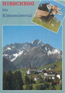 Postcard Austria Hirschegg im Kleinwalsertal