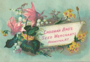 1870's Engraved Crosman Bros. Seed Merchants Victorian Trade Card P10