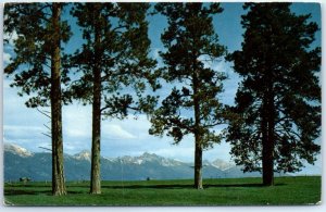 M-46821 Yellow Pine and the Mission Range in Montana