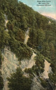Vintage Postcard 1920 Horse Shoe Curve Mt. Lowe California Elevation 4000 ft CA