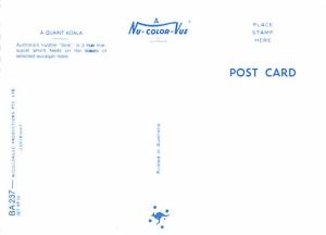 Quaint Koala - Australia