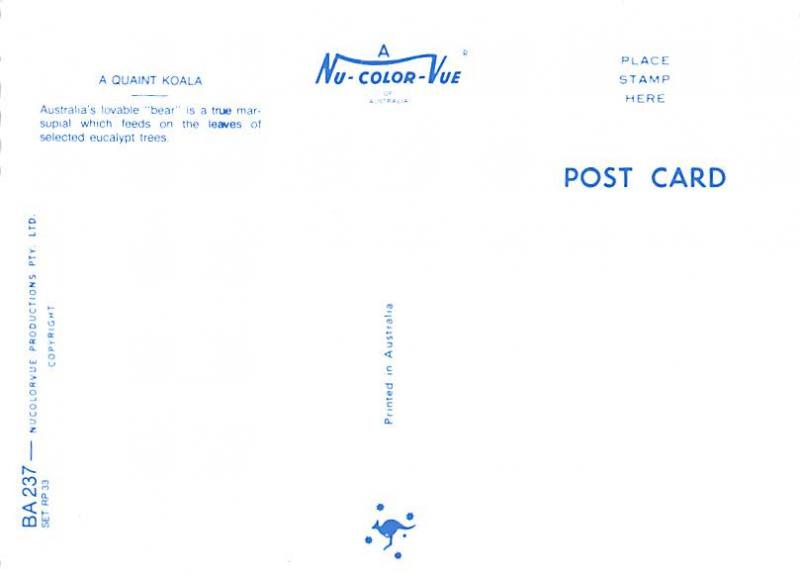 Quaint Koala - Australia